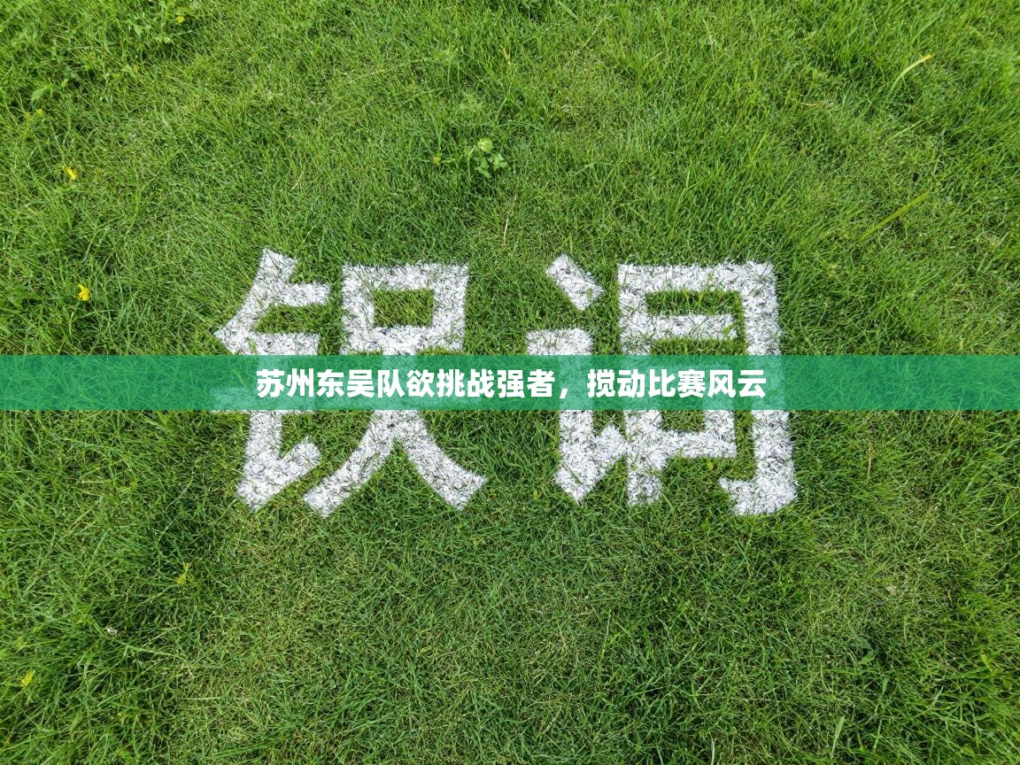 苏州东吴队欲挑战强者，搅动比赛风云  第1张