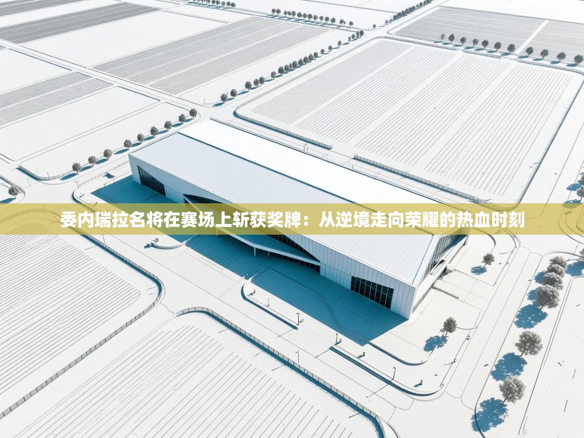 委内瑞拉名将在赛场上斩获奖牌：从逆境走向荣耀的热血时刻  第1张