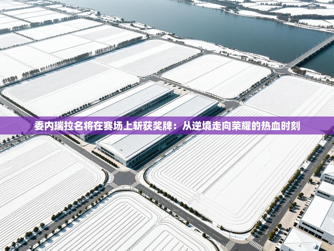 委内瑞拉名将在赛场上斩获奖牌：从逆境走向荣耀的热血时刻  第2张