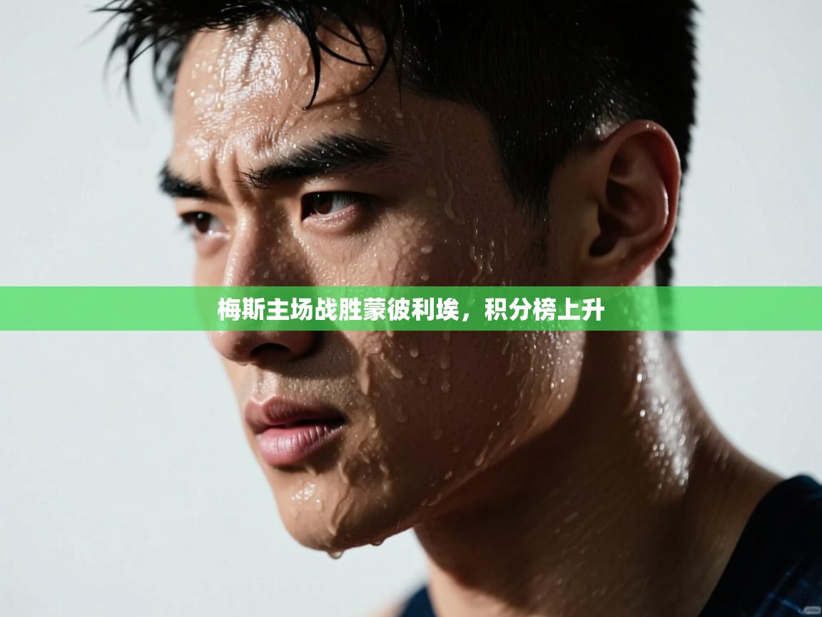 梅斯主场战胜蒙彼利埃，积分榜上升  第2张