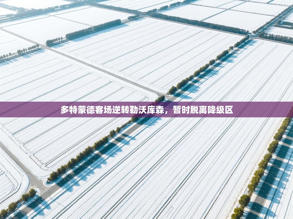 多特蒙德客场逆转勒沃库森，暂时脱离降级区  第2张