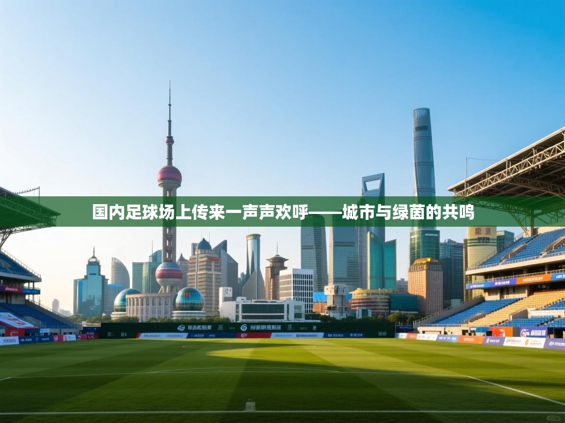 国内足球场上传来一声声欢呼——城市与绿茵的共鸣  第2张