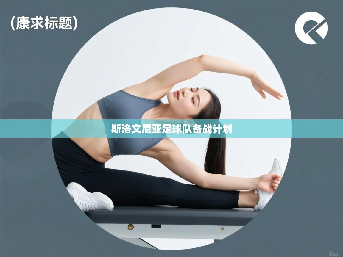 斯洛文尼亚足球队备战计划  第1张