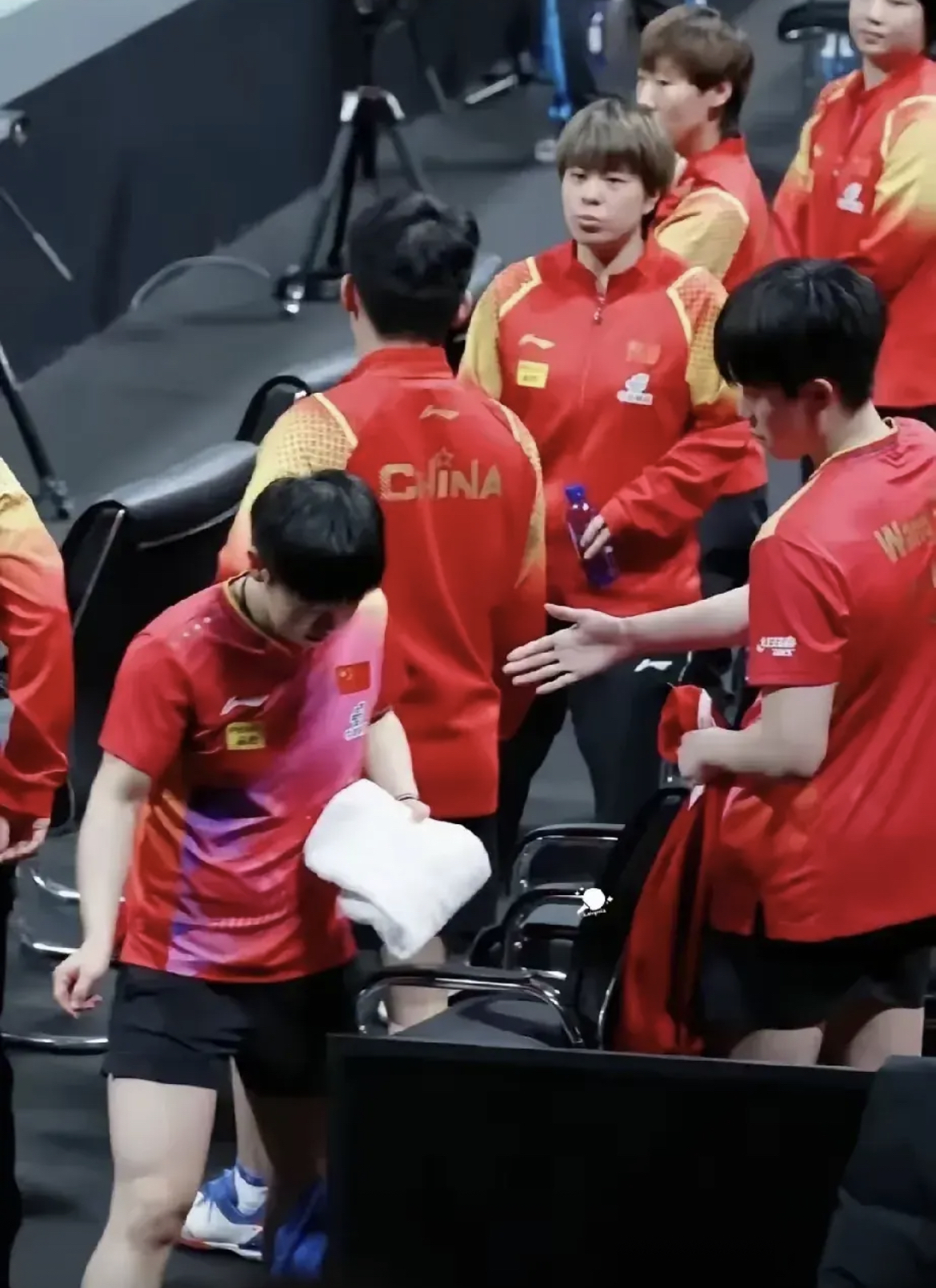 包含女球星马尔特萨带领中国国家队攻占全运会舞台的词条
